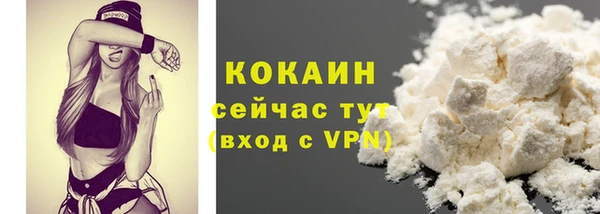 сатива Ачинск