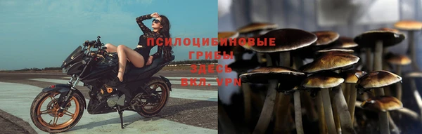 МДПВ Лагань