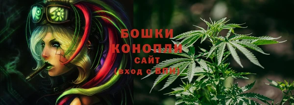 крисы Лабытнанги