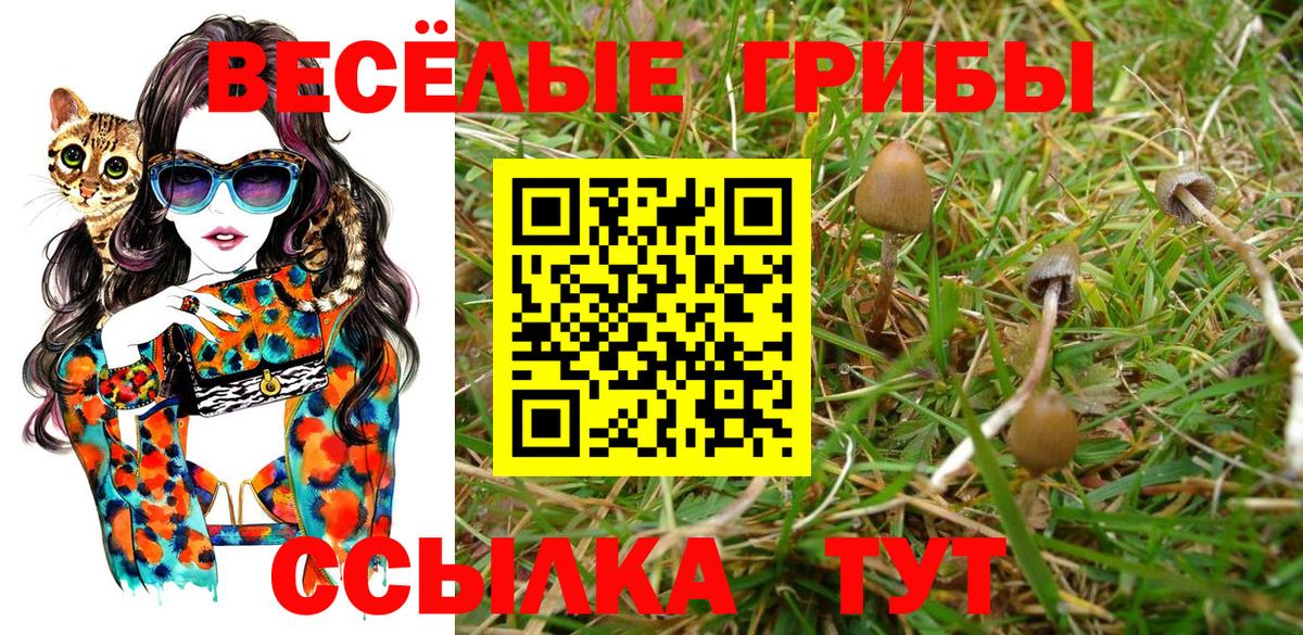 Псилоцибиновые грибы прущие грибы Узловая