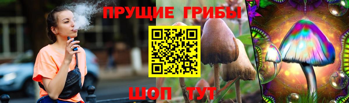 Узловая  Псилоцибиновые грибы Cubensis  Вход с VPN 